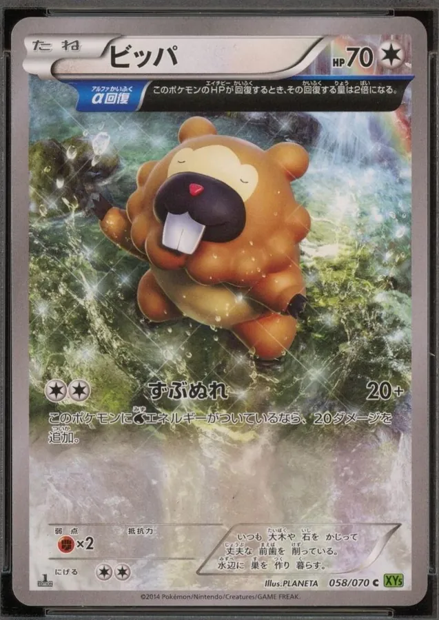 Bidoof [1st-Edition]